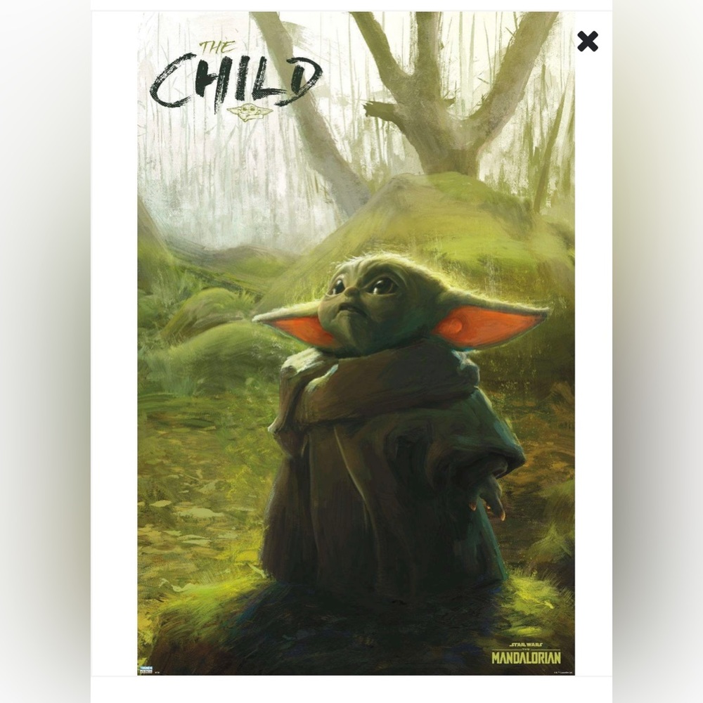 Star Wars the Mandalorian forest… Yoda